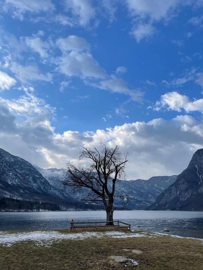Remarkable Home Bohinj Lake Exterior foto